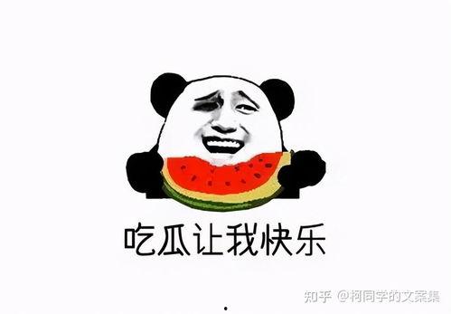 吃瓜文案 朋友圈,揭秘朋友圈那些让人捧腹的吃瓜瞬间  第1张